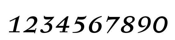 SerapionIISC Italic Font, Number Fonts