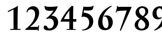 SerapionIITxN Bold Font, Number Fonts