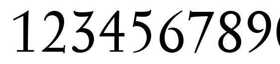 SerapionIITxN Font, Number Fonts