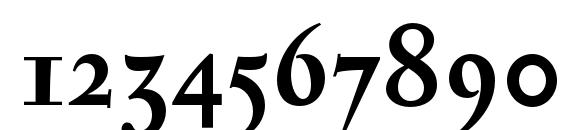 SerapionOSF Bold Font, Number Fonts