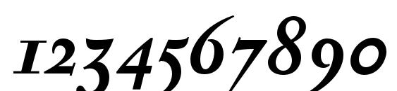 SerapionOSF BoldItalic Font, Number Fonts