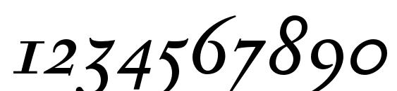 SerapionOSF Italic Font, Number Fonts