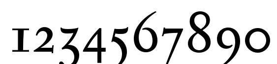 SerapionOSF Font, Number Fonts