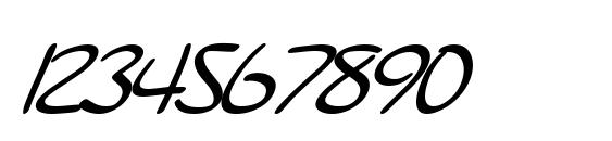 SF Burlington Script Bold Italic Font, Number Fonts