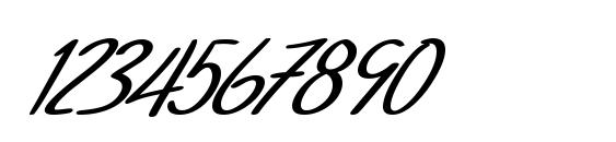 SF Foxboro Script Bold Italic Font, Number Fonts
