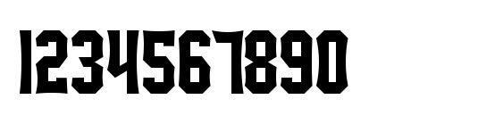 SF Ironsides Font, Number Fonts