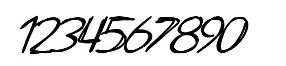SF Zimmerman Italic Font, Number Fonts