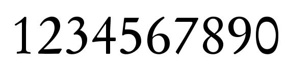 SGaramond Regular Font, Number Fonts
