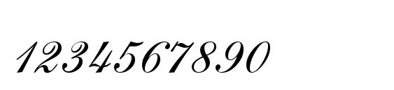 Sheer Beauty Regular Font, Number Fonts