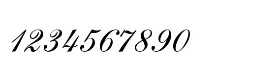 Шрифт Sheer Elegance Regular, Шрифты для цифр и чисел