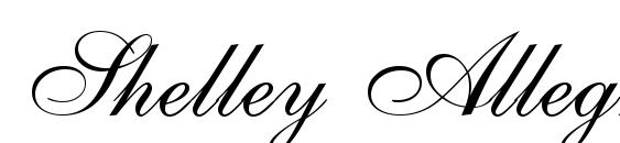 Shelley Allegro BT Font