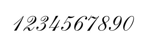 Shelley AllegroScript Font, Number Fonts