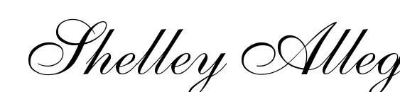 Шрифт Shelley AllegroScript