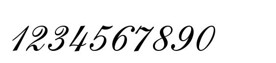 Shelley Andante BT Font, Number Fonts