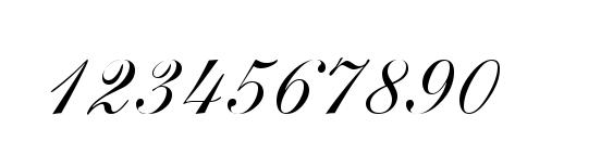 Shelley AndanteScriptA Font, Number Fonts