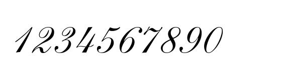 Shelley LT Allegro Script Font, Number Fonts