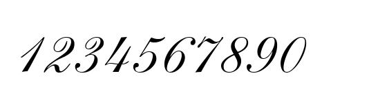 Shelley LT Volante Script Font, Number Fonts