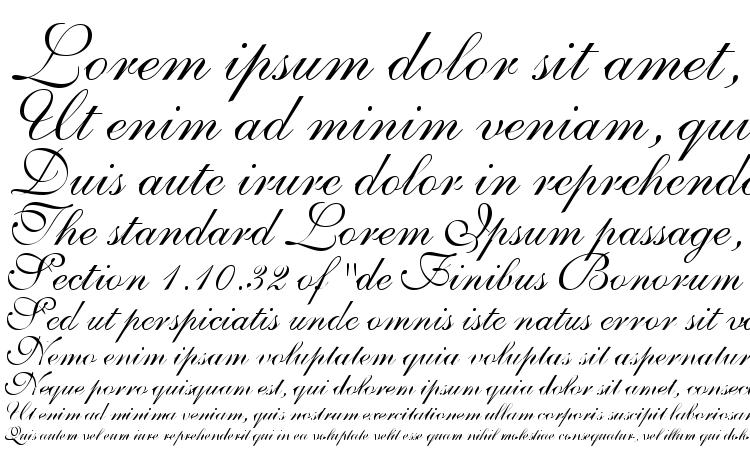 specimens Shelley VolanteScriptA font, sample Shelley VolanteScriptA font, an example of writing Shelley VolanteScriptA font, review Shelley VolanteScriptA font, preview Shelley VolanteScriptA font, Shelley VolanteScriptA font