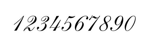 ShelleyAllegroScript Normal Font, Number Fonts