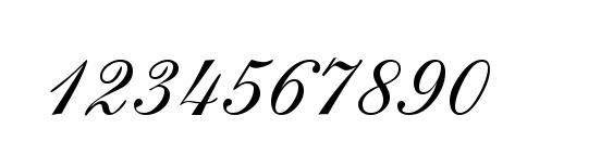 ShirleyAllegro Regular DB Font, Number Fonts