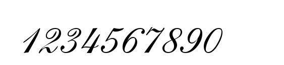 ShirleyVolante Regular DB Font, Number Fonts