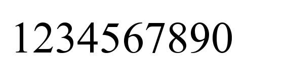 Shonar Bangla Font, Number Fonts