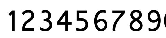 Shruti Font, Number Fonts