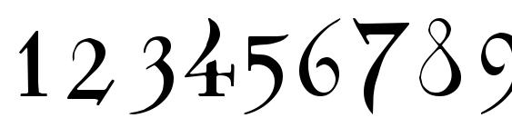 Sidhe Noble Font, Number Fonts