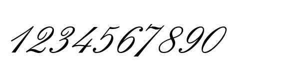 Sigroom Font, Number Fonts