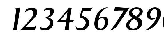 SigvarSerial Italic Font, Number Fonts