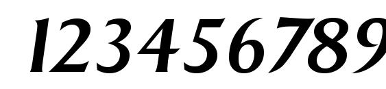 SigvarSerial Medium Italic Font, Number Fonts