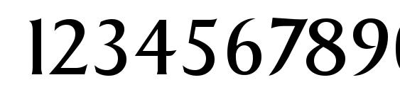 SigvarSerial Regular Font, Number Fonts