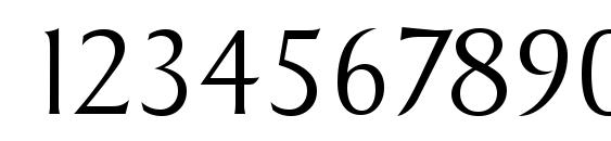 SigvarSerial Xlight Regular Font, Number Fonts