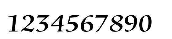 SilentiumPro RomanI Font, Number Fonts