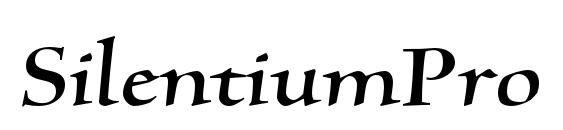 SilentiumPro RomanI Font