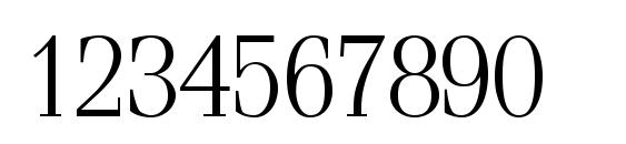 SimeizLight Font, Number Fonts