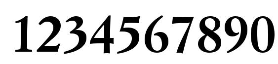 Simoncini Garamond LT Bold Font, Number Fonts