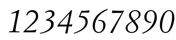 Simoncini Garamond LT Italic Font, Number Fonts