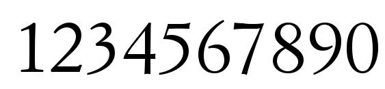 Simoncini Garamond LT Font, Number Fonts