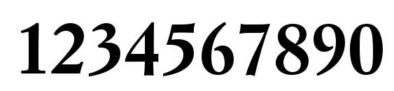 SimonciniGaramondStd Bold Font, Number Fonts