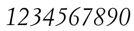 SimonciniGaramondStd Italic Font, Number Fonts