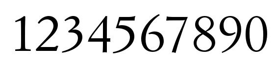 SimonciniGaramondStd Font, Number Fonts