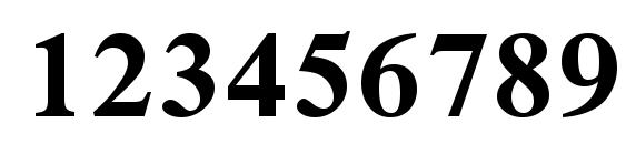 Simplified Arabic Bold Font, Number Fonts