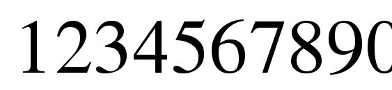 Simplified Arabic Font, Number Fonts