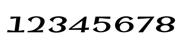 SinahSans LT Bold Italic Font, Number Fonts