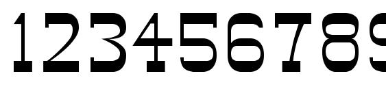 Slim Pickens SSi Font, Number Fonts