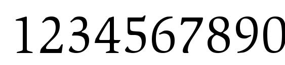 Slimbach Book Font, Number Fonts