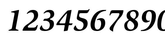 SlimbachStd BoldItalic Font, Number Fonts