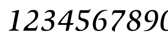 SlimbachStd MediumItalic Font, Number Fonts