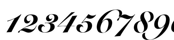 Snell Roundhand Black Script Font, Number Fonts